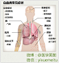 健康科普 l 白血病常见症状