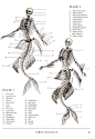 【资源】The resurrectionist_藏飞吧_百度贴吧