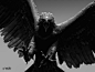 Haast Eagle, Daniel Cockersell : Here are some quick ZBrush renders of the Haast Eagle, so you can see some of the details.
The project was for a private commission which was sculpted at Weta Workshop. The end result was a large bronze sculpture of a Haas
