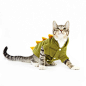 #Dinosaur #Cat #Costume because #kitty wants to #dressup for #Halloween too! #pets #cute #HerSolution: 