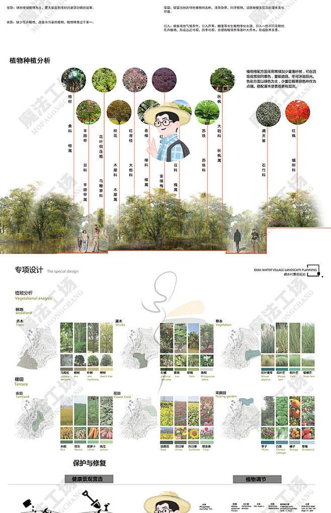 逼格高级感景观方案前期植物配置搭配种植设...