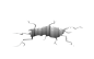 d4b649af701f7a6e8d9377ecf764f423