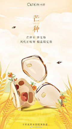 A肖战的小娇妻采集到节日节气-芒种