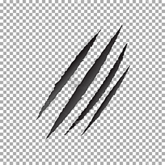 用户DBPzQjHm采集到待归类采集