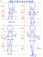 Q版人物｜2.5、3、4、4.5头身人体动态结构比例