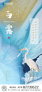 白露1