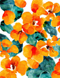 orange floral, by frameless #采集大赛#