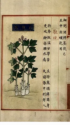 补遗雷公炮制便览