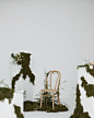 a chair sitting in the middle of moss covered blocks with flowers growing out of it