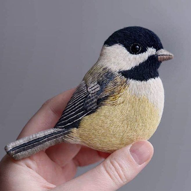 Shop update #bird #e...