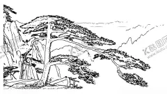 迎客松矢量线稿 【酷图网】黄山迎客松,迎客松矢量,迎客松线稿,迎客松素描,风景矢量,奇石,古树,线描,矢量,设计,自然景观,自然风光