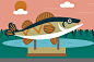 MNSure/Springboards animations : A series of animations I did for a project for Springboard/MNsure.