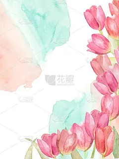 郁金香水彩框架