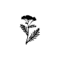 Instant download herb silhouette, digital download, digital graphics, nature clipart, iron on image, clip art, PNG, PDF