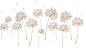 北欧现代简约金色蒲公英.png