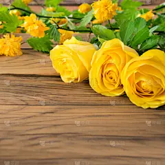 玫瑰,木制,背景,黄色,贺卡,情人节卡,复古风格,春天,园林,乡村风格