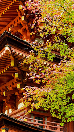 wuli夏末采集到风景