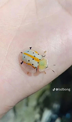 木之mu采集到素材
