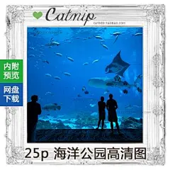 JPG 25p海洋公园海底世界 网站PS 可以印刷海报 高清摄影图片素材-淘宝网