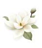 @冒险家的旅程か★
绿叶png 树叶png 花朵png 叶子png 植物鲜花