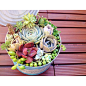 kana 在 Instagram 上发布：“この前作った#リメ缶 に寄せよせ。セリアのウッドデッキパネルにペンキぬりぬり。ソファーカバーとクッションカバーもぬいぬい。熱なんか出てたっけ？てぐらい元気になってしもうたw#多肉 #多肉植物 #寄せ植え”