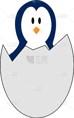 蛋,小的,企鹅,白色,可爱的,新生活,图像,破碎的,动物,鸟类