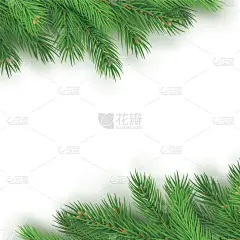 云杉,枝,背景,传统,事件,清新,植物群,枝繁叶茂,庆祝,问候