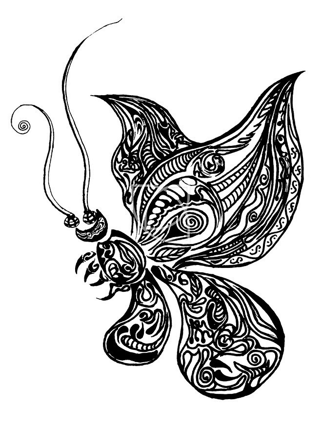 黑白配图形创意#黑白#手绘#蝴蝶