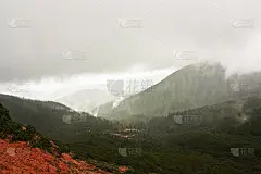 山中青山，雾中雨。