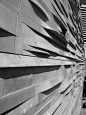 Perot Museum of Nature and Science / Morphosis Architects - Facade, Beam