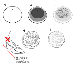 NNNNONO采集到绘画教程