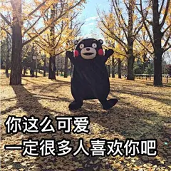 拥有丰富的表情包是一种什么样的体验？ - X 是种怎样的体验 - 知乎