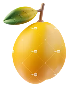 芒果-成熟的黄色柠檬叶