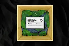 盒子样机中的名片 (PSD)