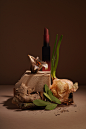 Fragrance perfume Photography  Plant still life