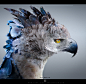 Harry Potter - Buckbeak 03, Tony Camehl : currently working on some Harry Potter FanArt and thought would be cool to share a GIF with you guys.

This is a third and last (head) concept of how I imagine Buckbeak from the HP World.