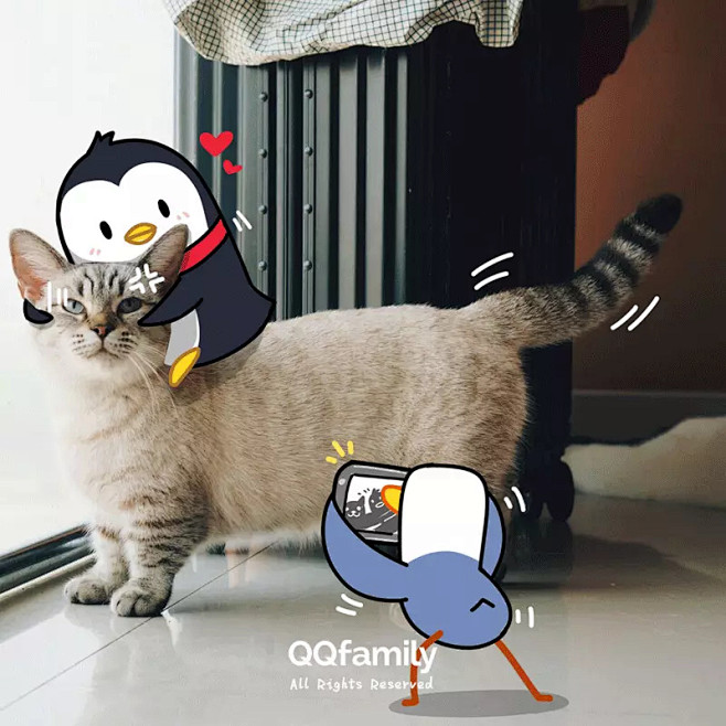 阿猫阿狗の日常(二)~