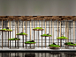 新中式室内景观  景观小品 景观造景 室内造景 苔藓 植物造景【ID:1156462095】