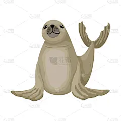 小的,分离着色,动物,海熊,快乐,儿童,非都市风光,冬天,灰色,可爱的