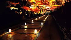 中国古代手绘插画-手绘插画古风夜晚场景-手绘插画古风游戏场景