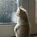 下雨天，我总是喜欢思考人生。