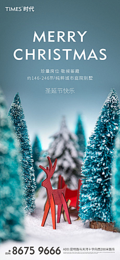 阿拉布丁采集到圣诞新年