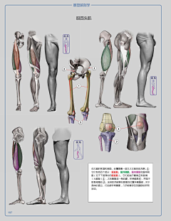 linka_ovo采集到基础