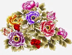 手绘牡丹花展板背景高清素材 展板 牡丹花 背景 免抠png 设计图片 免费下载