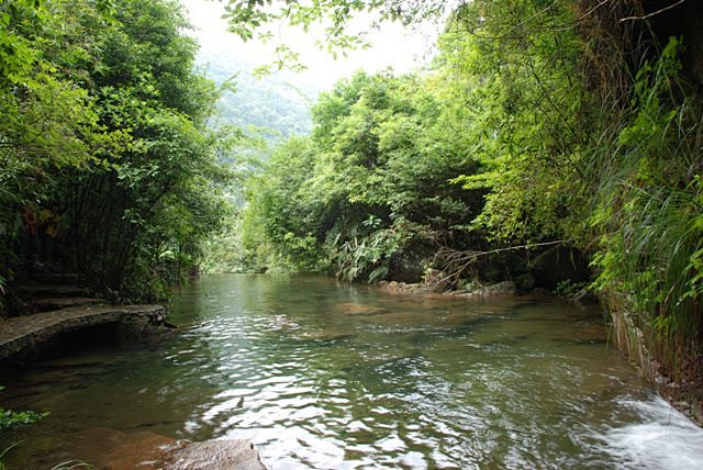 武夷山旅游相关事项详细说明