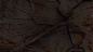 product_mk_bg_02_02