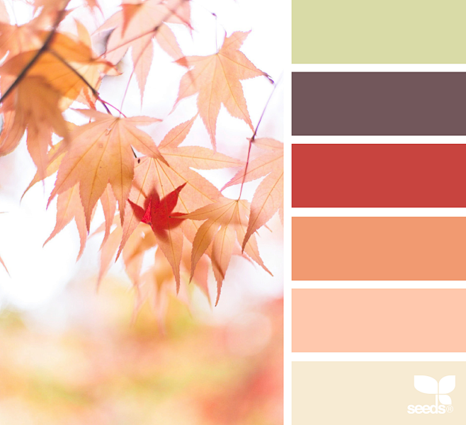 COLOR CODES
#DADCA7
...