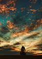 Photograph Witness .. 