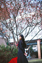 【猫粮非路过】花と影_猫梓吧_百度贴吧