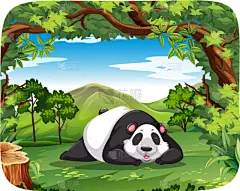 熊猫,木制,景象,可爱的,白色,亚洲,自然,野生动物,图像,枝